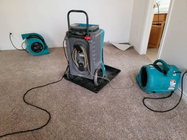 Fire Damage Restoration in WA