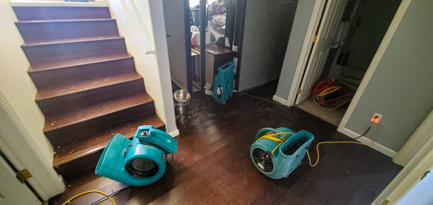 Best Sewage cleanup and water damage restoration  in Venersborg, WA