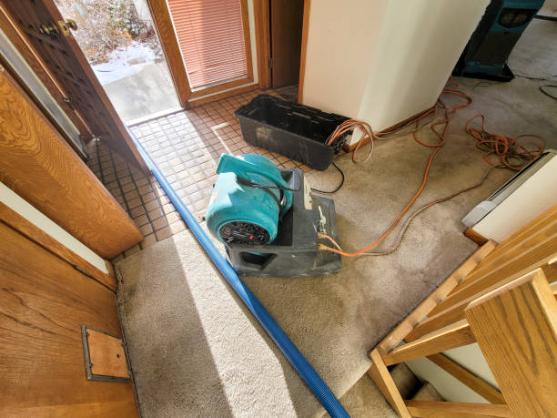 Best Fire Damage Restoration  in Venersborg, WA