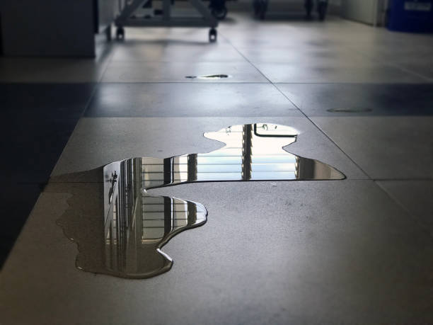 Best Basement water damage restoration  in Venersborg, WA