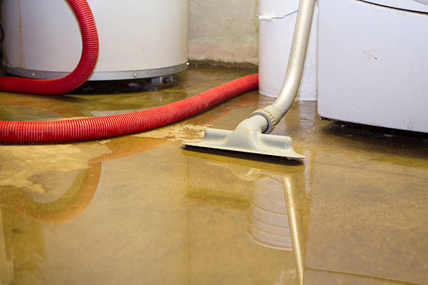  Venersborg, WA Water damage restoration Pros