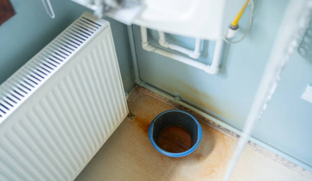 Best Local water damage restoration  in Venersborg, WA